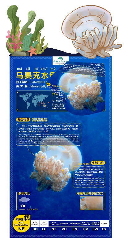 桂林融創(chuàng)-海洋科普（ 物種內(nèi)容設(shè)計(jì)）